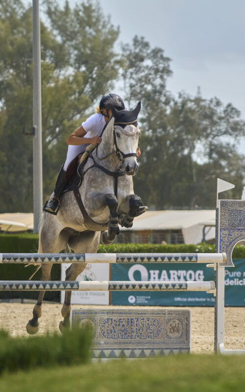 Alta Pineda1 - Wassenaar Horses Group